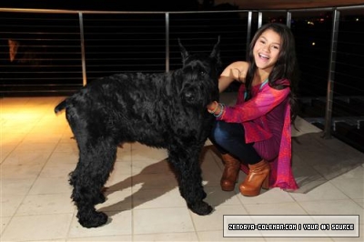 zenyslife: Zendaya and her dog,Midnight:?\-~$&*^]