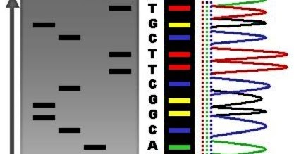 Detecting integration of viral vector DNA into the host genome for Gene