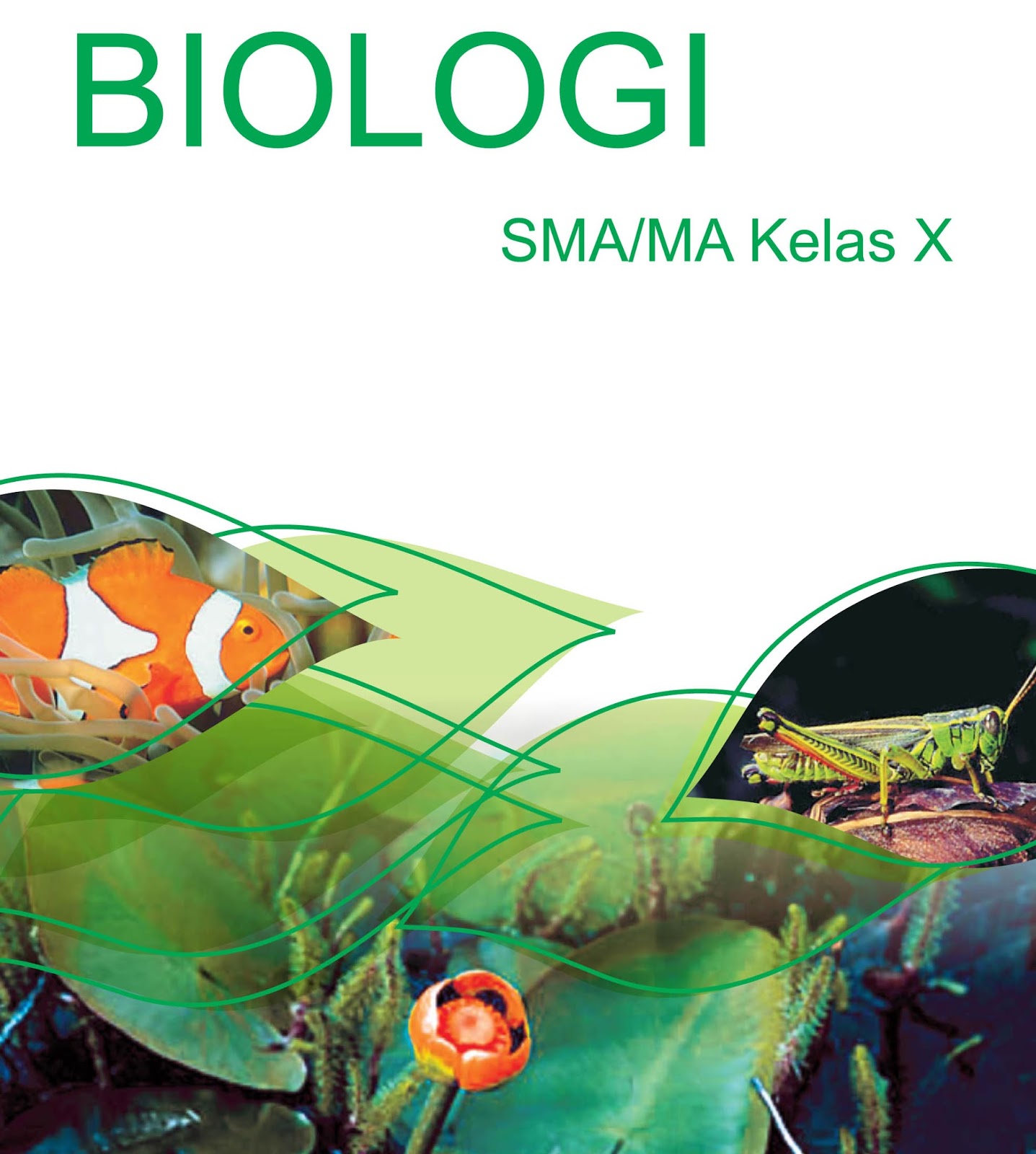 Download BSE Buku Biologi Kelas X-XIII KTSP PDF - WindowBrain