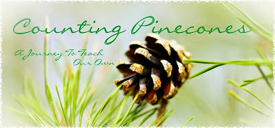 Counting Pinecones