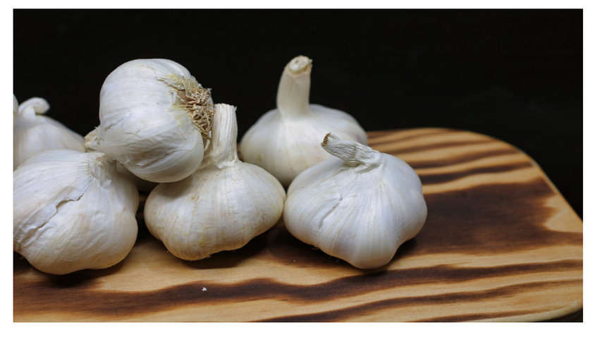 Manfaat Bawang Putih - 9+ Cara Memanjangkan Kuku Lebih Cepat Kuat dan Tidak Patah