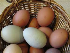 My creations are made with Farm Fresh Eggs!
