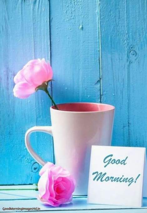 111 Best Coffee Good Morning Images in 2019 Good morning coffee images with rose