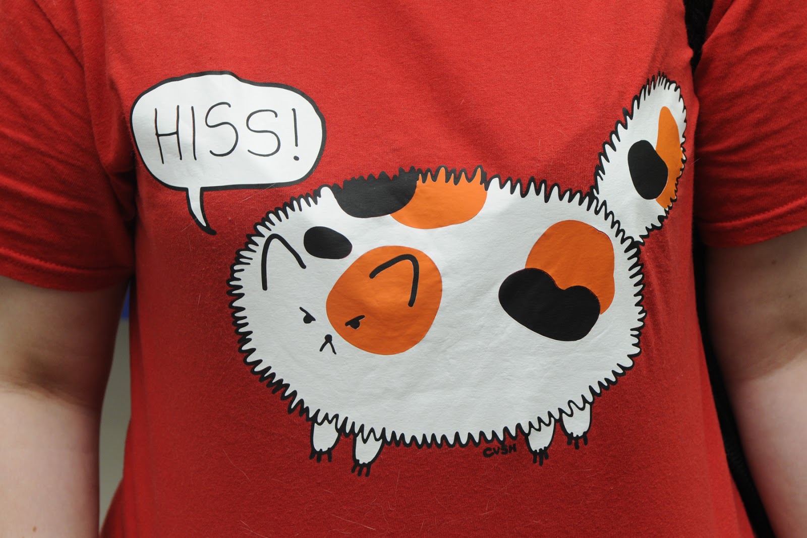 Small Animal Talk Handling difficult Cats small-animal-talk-handling-difficult-cats