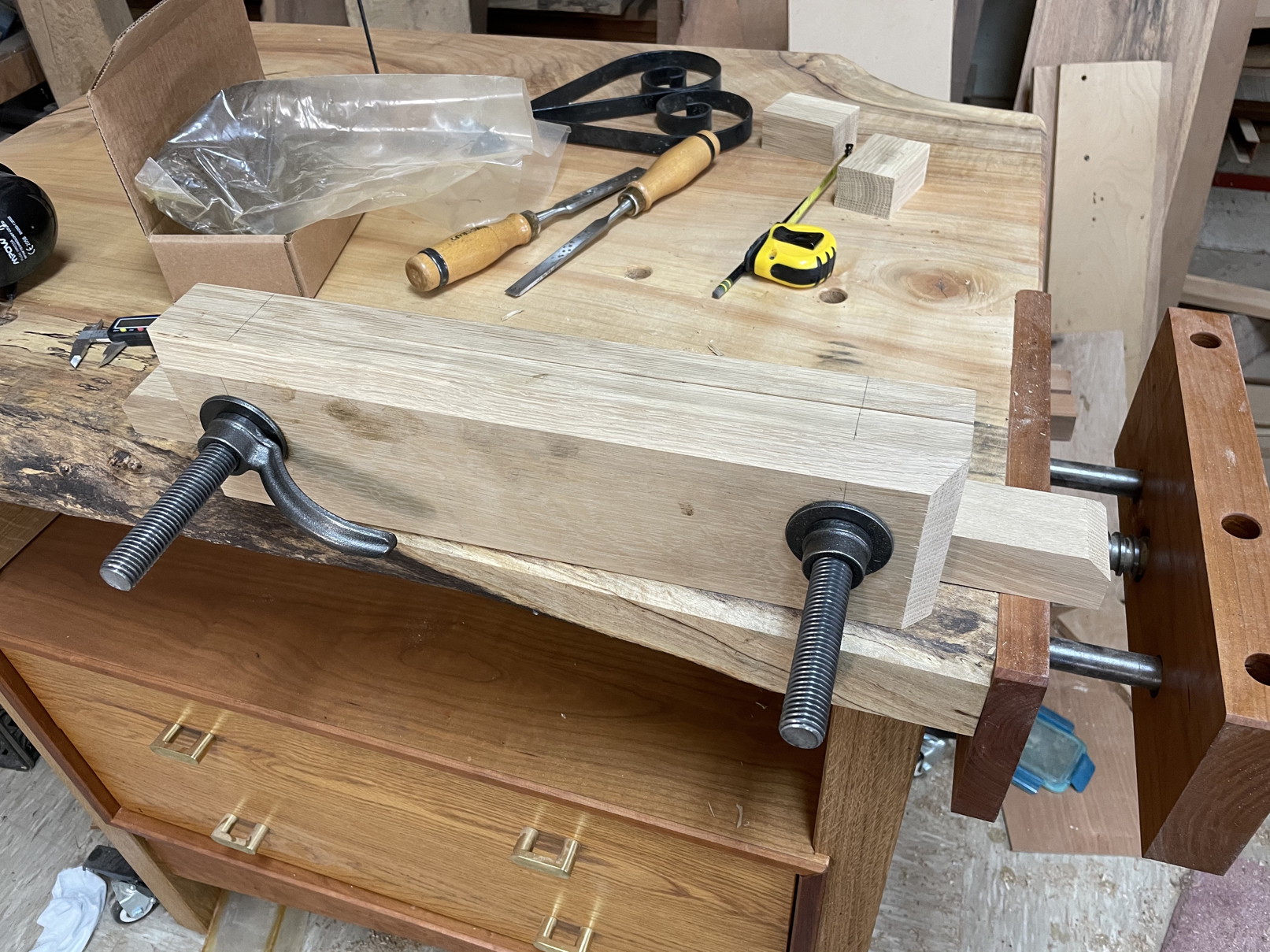 Essay moxon 07 image