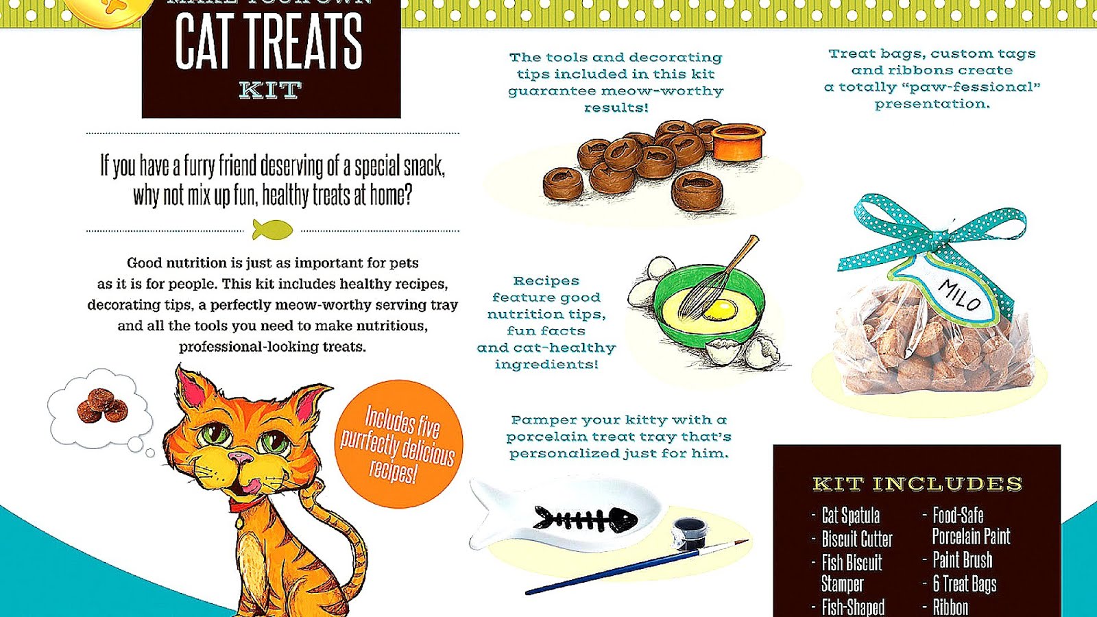 Healthy Cat Treat Recipes Recipe Choices