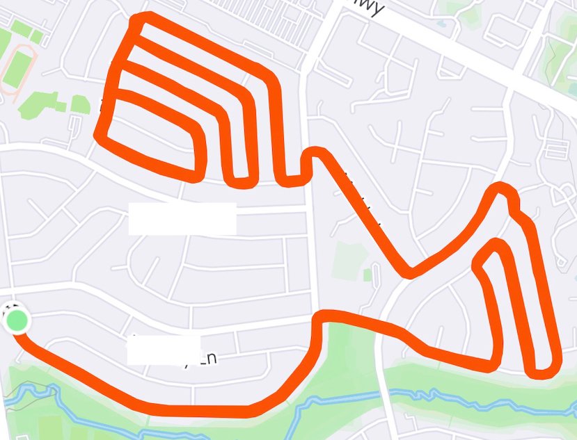 Racing Stripes Virtual Cherry Blossom 10Miler