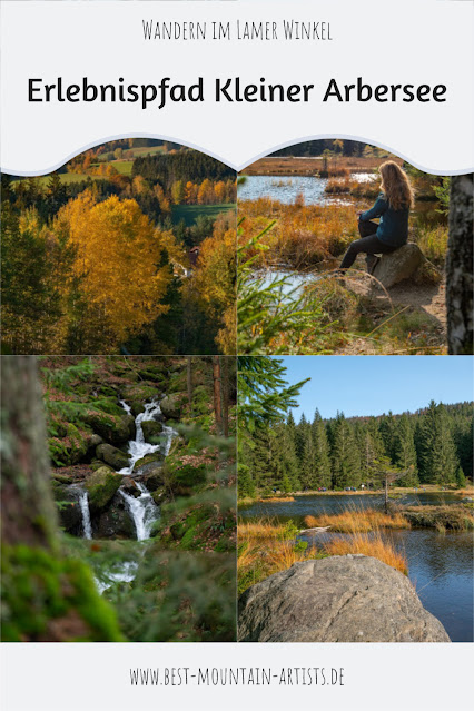 Erlebnispfad Kleiner Arbersee Lo03 | Wandern im Lamer Winkel | Bayerischer Wald | Großer Arber