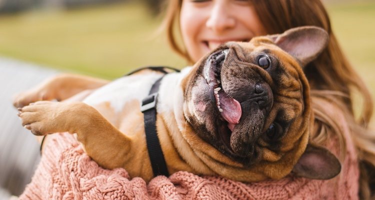 The best way to add a new family member is to adopt