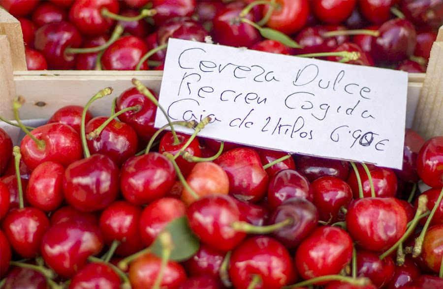 lejos ciudad zaragoza cerezas nuévalos