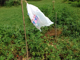 check out our whole list of science projects done with plastic bags