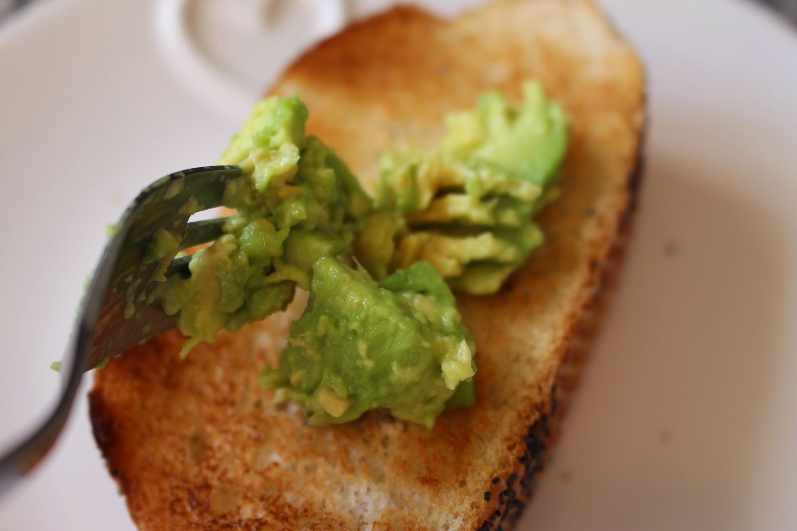 A Healthy Bloomer Recipe