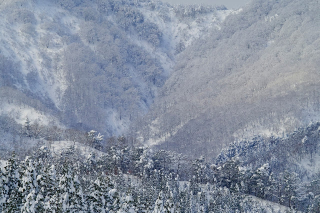 #photo #landscape #sigma #foveon #sdquattroh #japan #yamagata #tsuruoka #写真 #風景写真 #山形帝國 #山形県 #鶴岡市