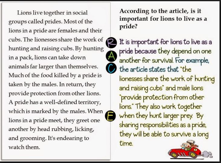 Mr. McDougall's 4th Grade Blog RACE Strategy