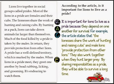 Mr. McDougall's 4th Grade Blog: RACE Strategy