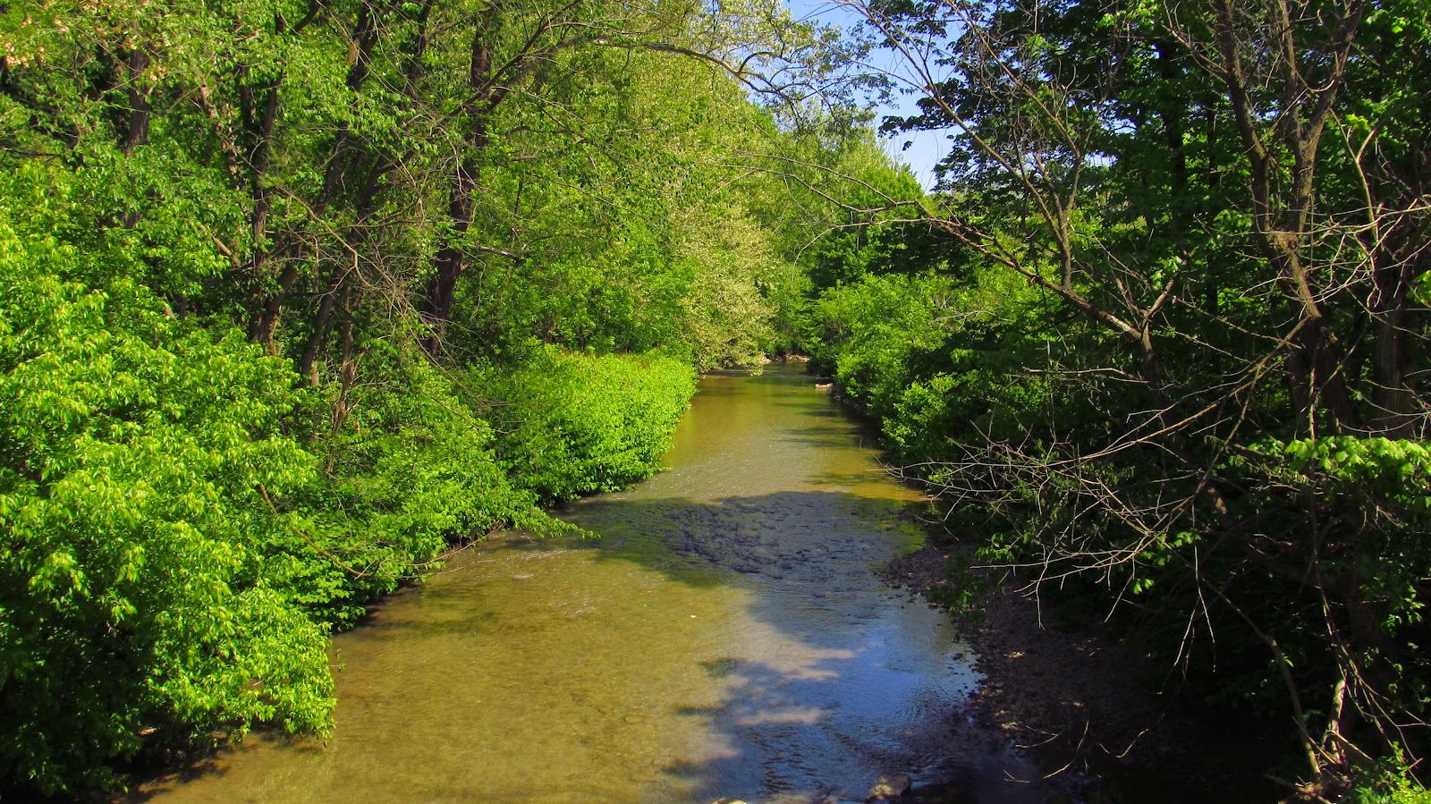 Old Industry of Southwestern Pennsylvania A Final Look At The Turtle
