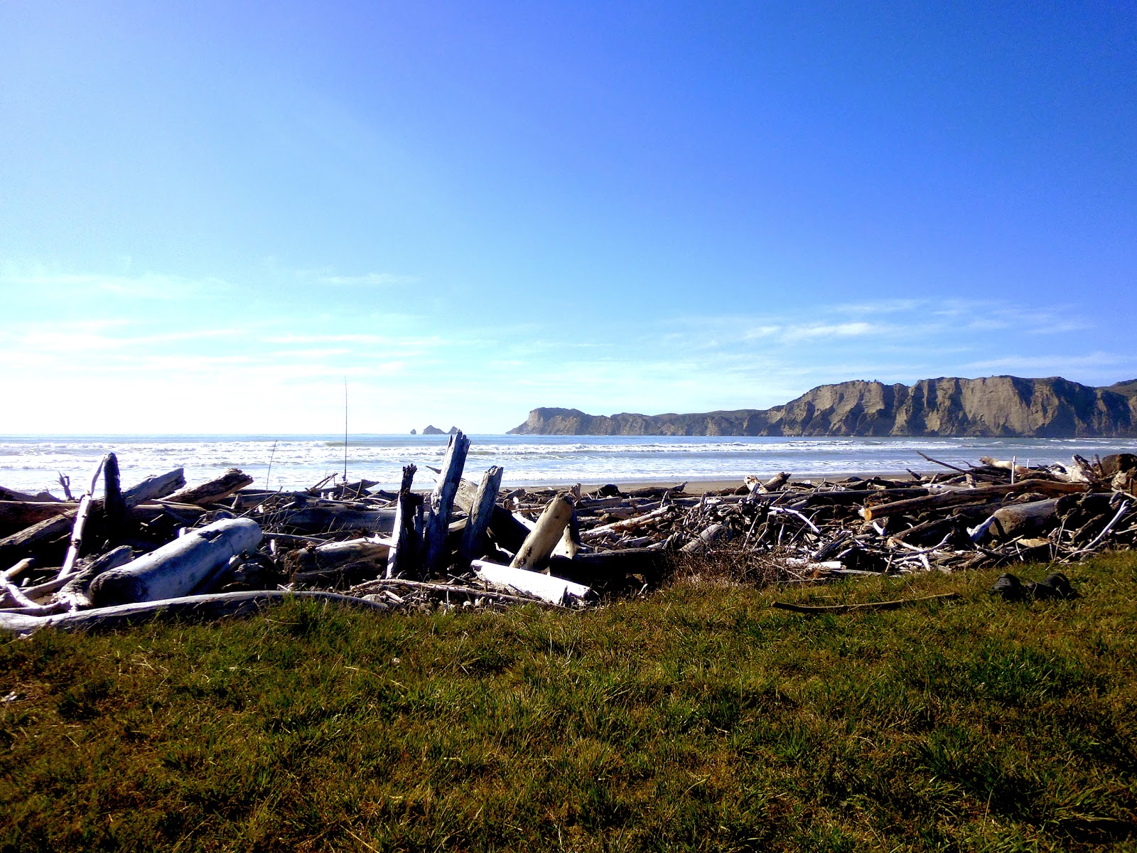 The Flying Tortoise The Flying Tortoise Freedom Camping At Tolaga Bay...