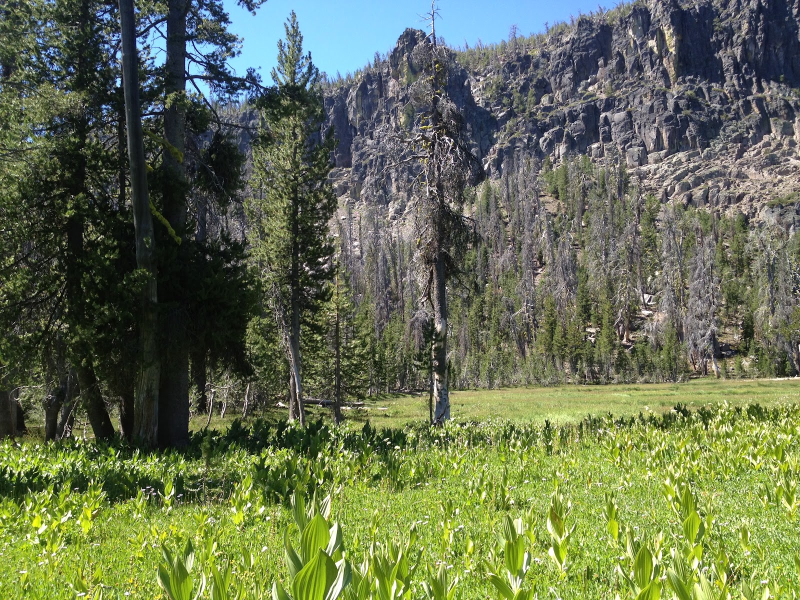Backpacking in Gearhart Mountain Wilderness