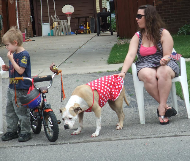 tortured dog