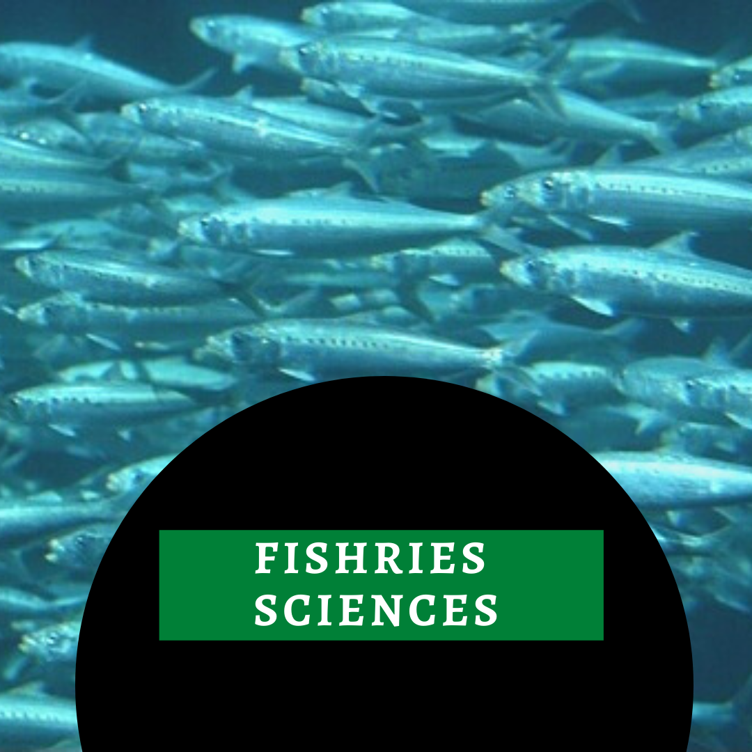 fisheries sciences ecourse online