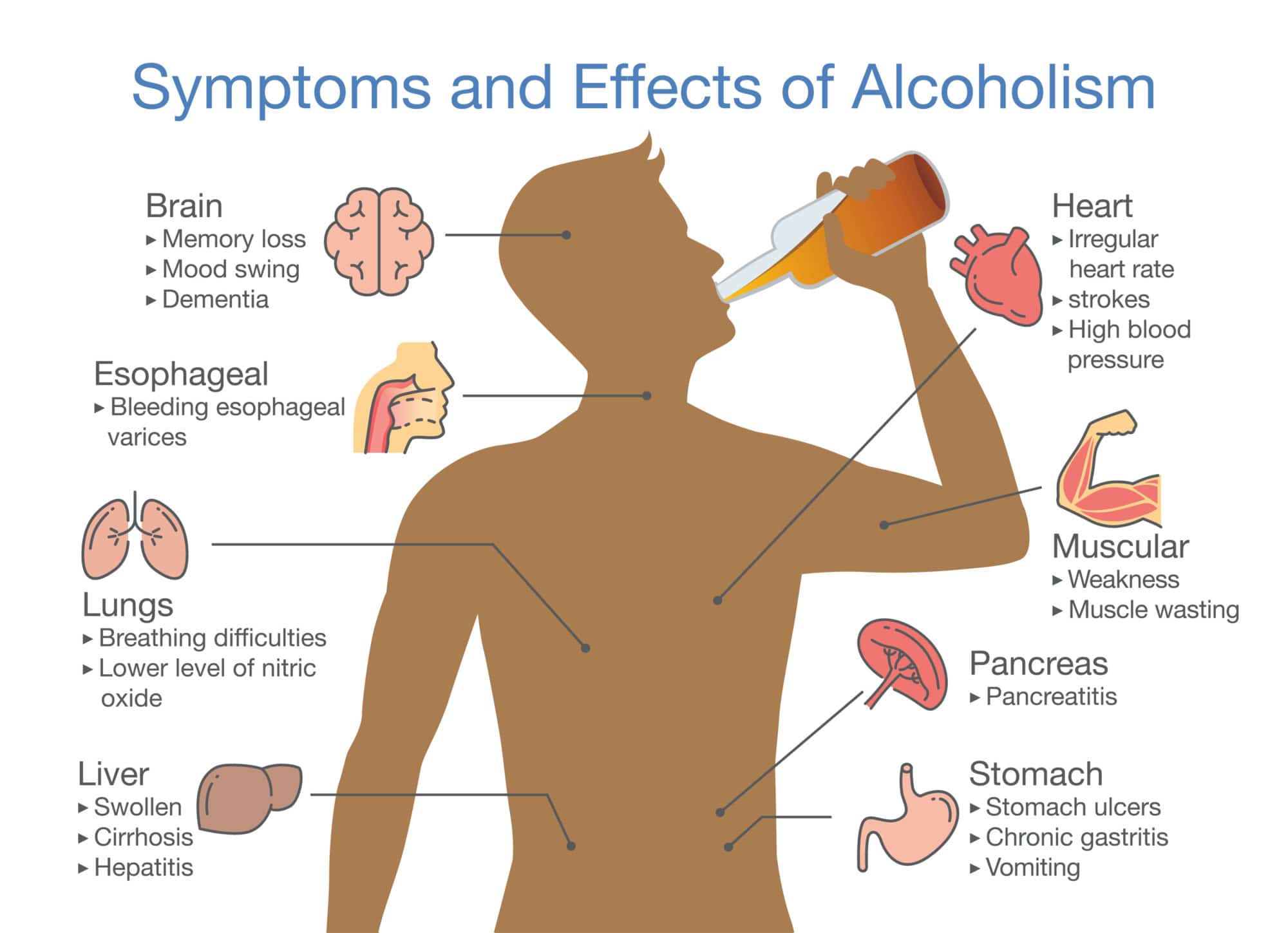 Impact of alcohol on the blood.