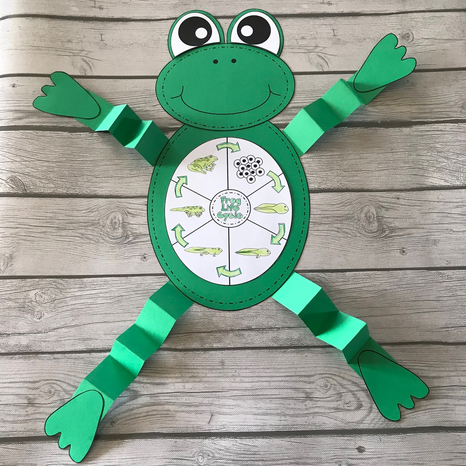 life-cycle-of-a-frog-craft-mrs-mcginnis-little-zizzers