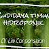 Cara Tepat Budidaya Timun Dengan Teknik Hidroponik 