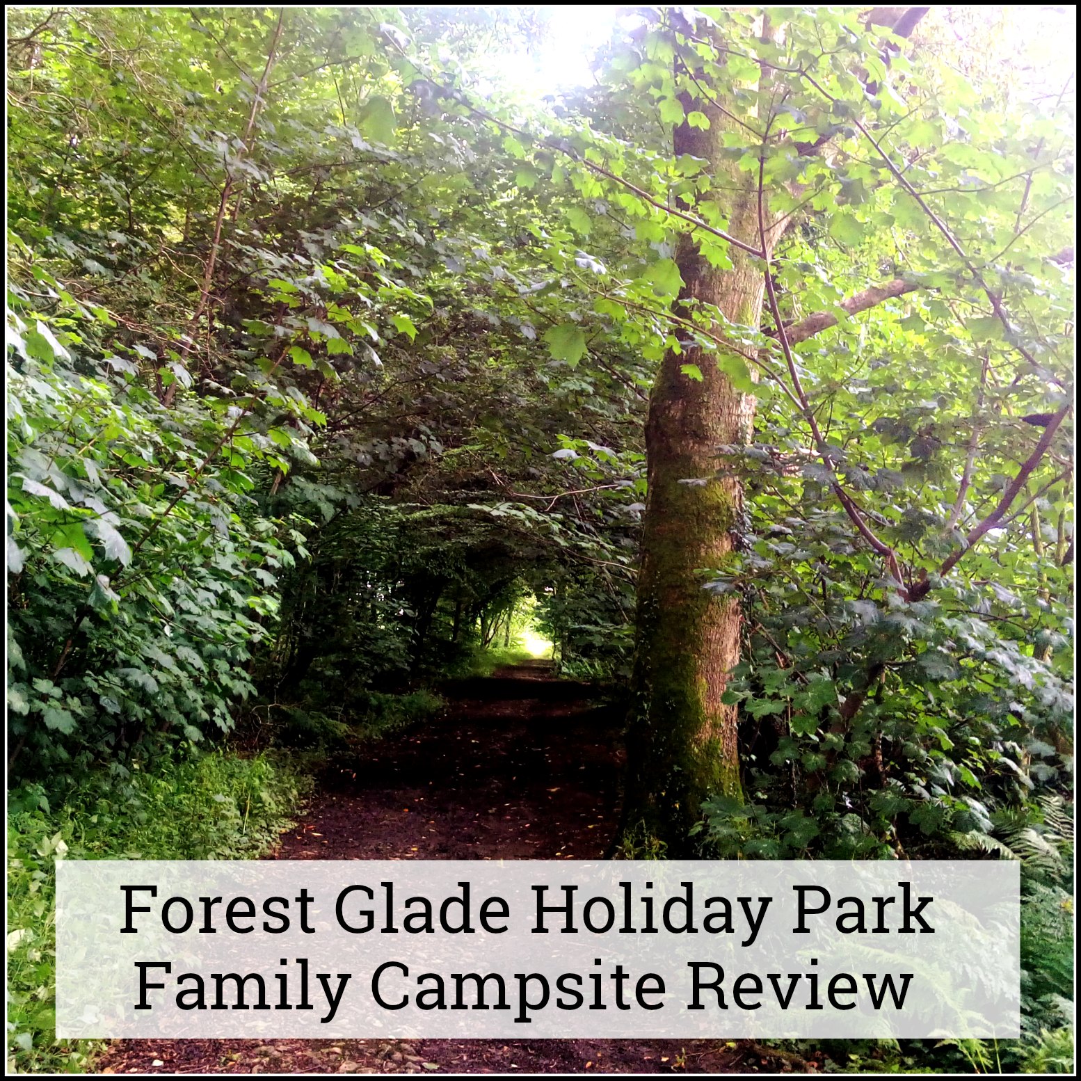 Forest Glade Holiday Park Family Campsite Review The Parent Game