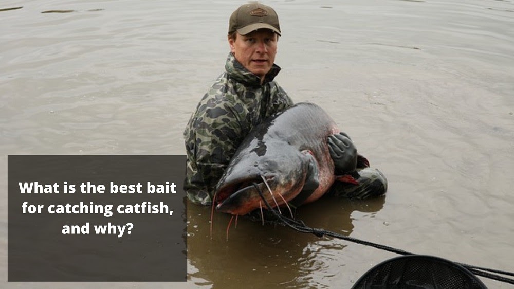 College Park Bait and Tackle Blog Learn Tips and Tricks About Fishing