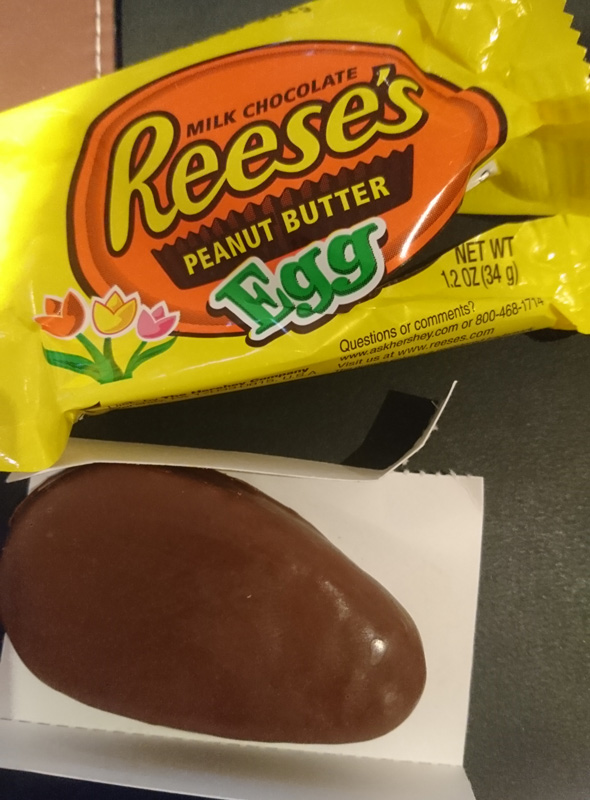 Regensburger Tagebuch 2019