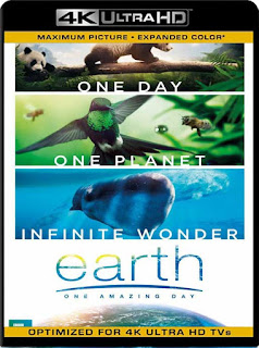 Un día Maravilloso en la Tierra (2017) 4K 2160p UHD [HDR] Subtitulado [GoogleDrive] 