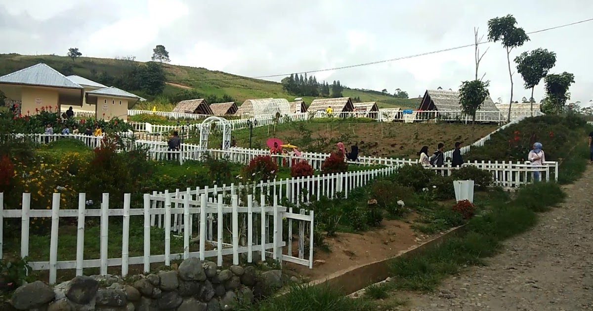Wisata Kebun Penuh Bunga yang Indah dan Sejuk , Wisata ...