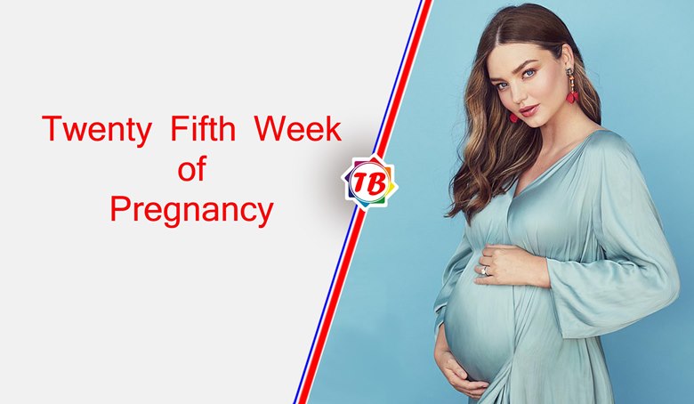 Twenty Fifth Week of Pregnancy