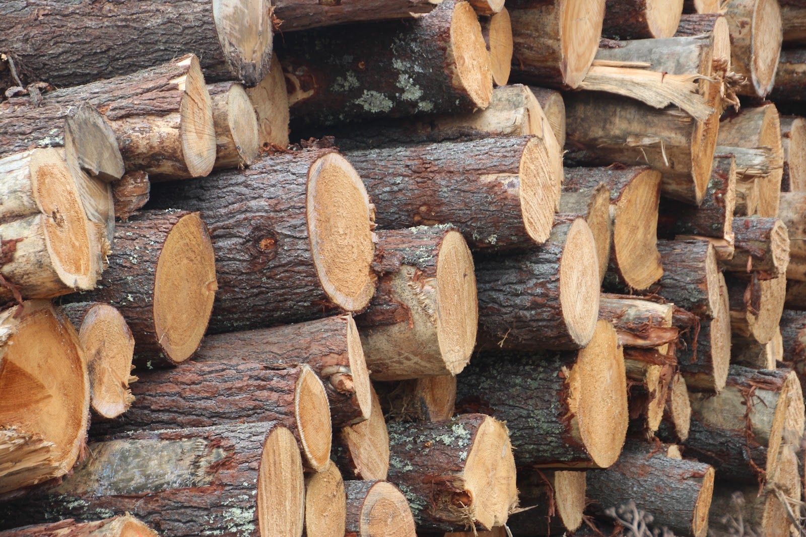 VISUAL SAINT PAUL ABC WEDNESDAY "L" LUMBER YARD