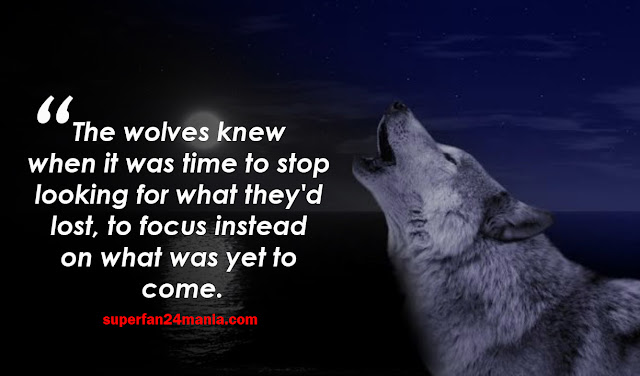 "The wolves knew when it was time to stop looking for what they’d lost, to focus instead on what was yet to come."