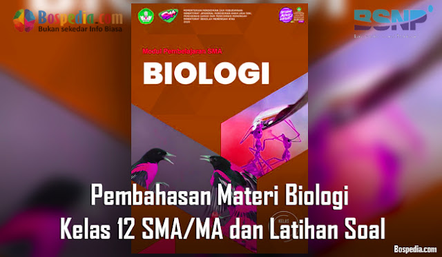 Pembahasan Materi Biologi Kelas 12 SMA/MA dan Latihan Soal