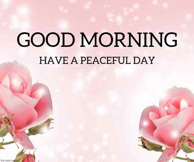 have a peaceful day good morning