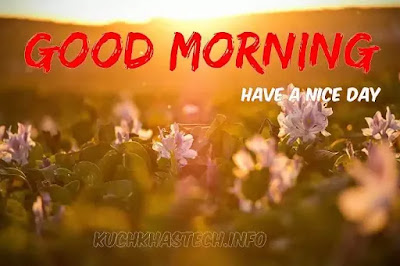Good Morning Images Good Morning Images