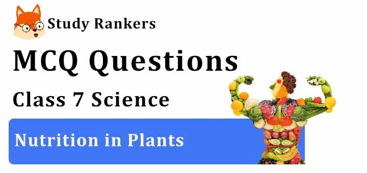 MCQ Questions for Class 7 Science: Ch 1 Nutrition in Plants
