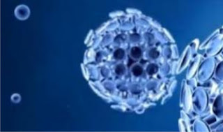 bentuk korona virus dari potretan mikroskop
