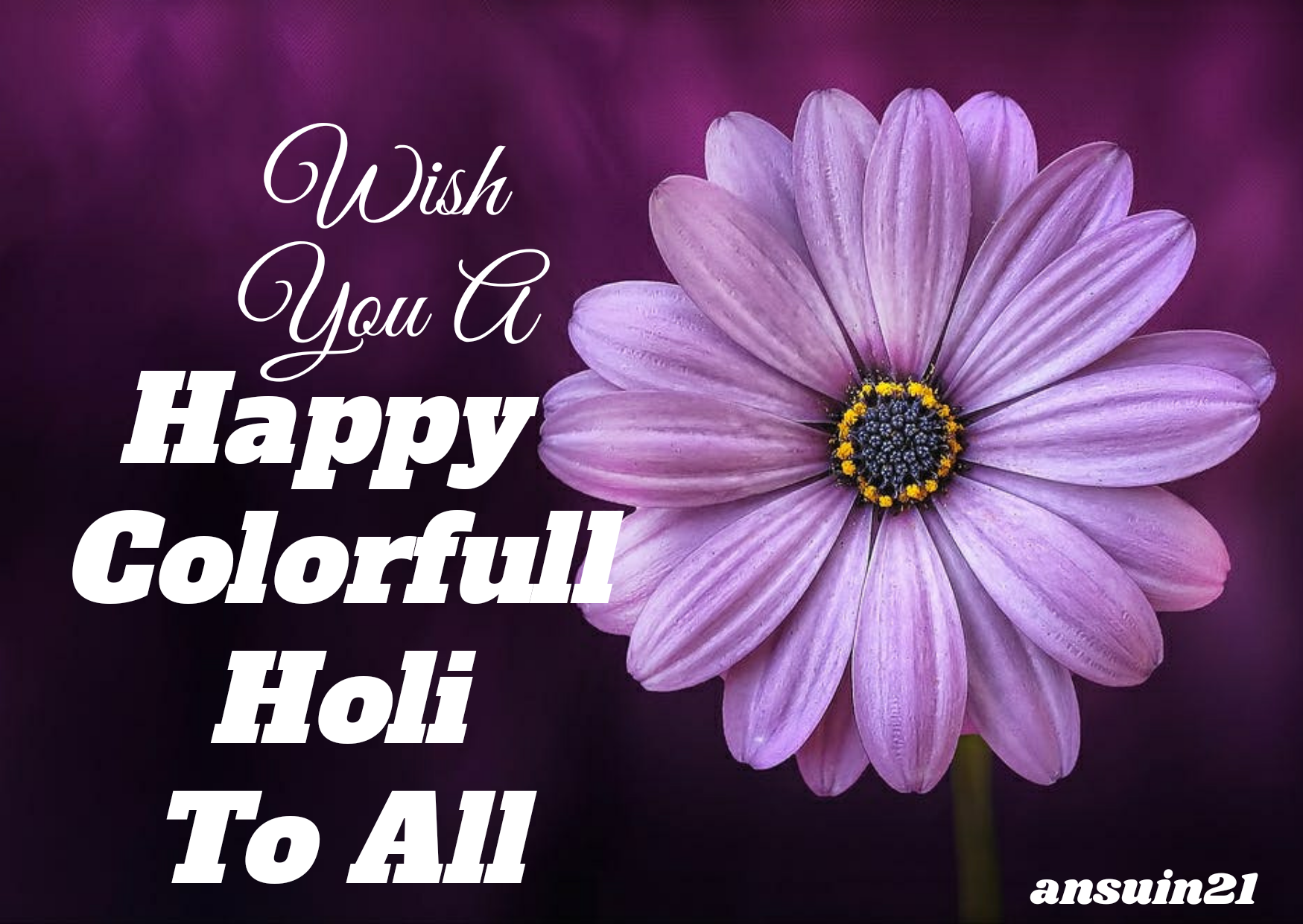 Happy Holi Wishes Images In English, Status, Photo, Massage,