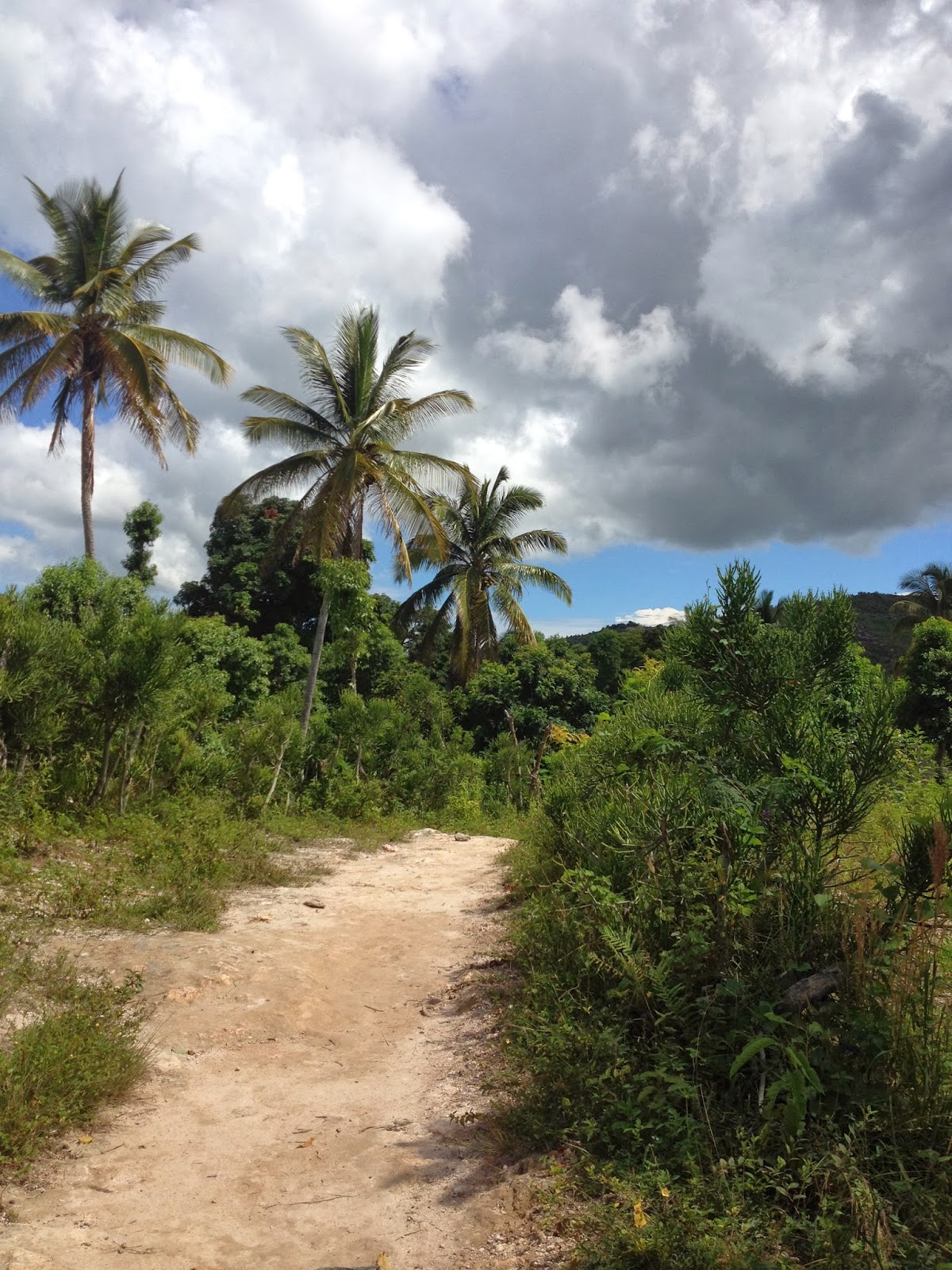 Third trip to Haiti inspiring projects on La Gonave