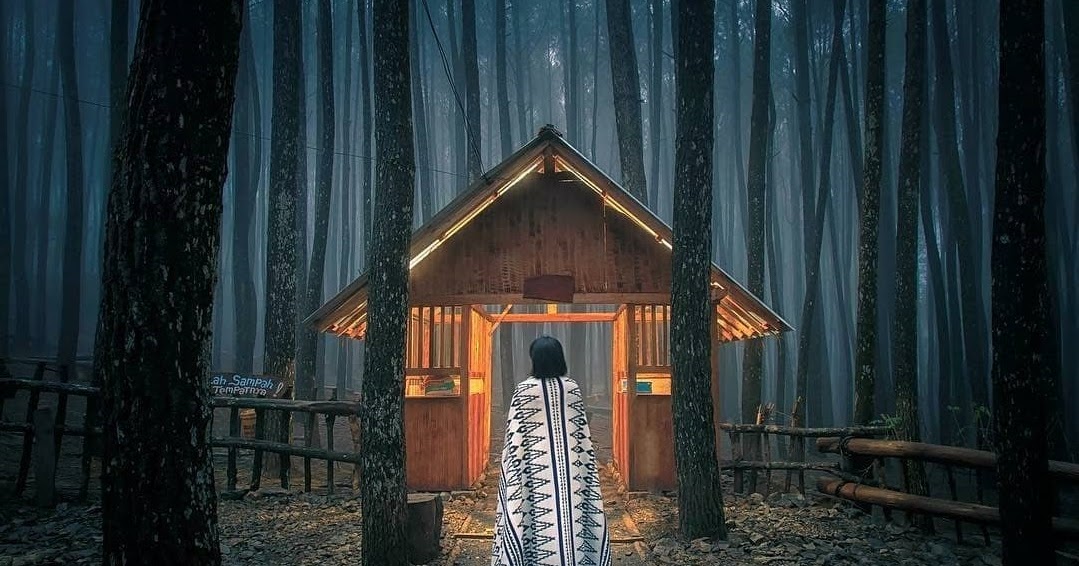 Spot Foto Baru dan Tiket Masuk Hutan Pinus Asri Jogja ...