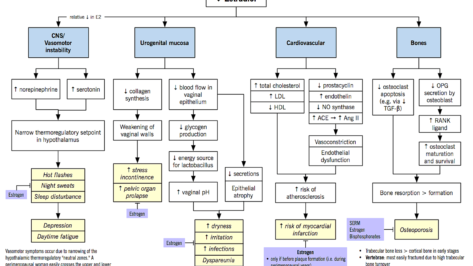 Fsh Levels In Menopause Menopause Choices Fsh Levels In Menopause Menopause Choices