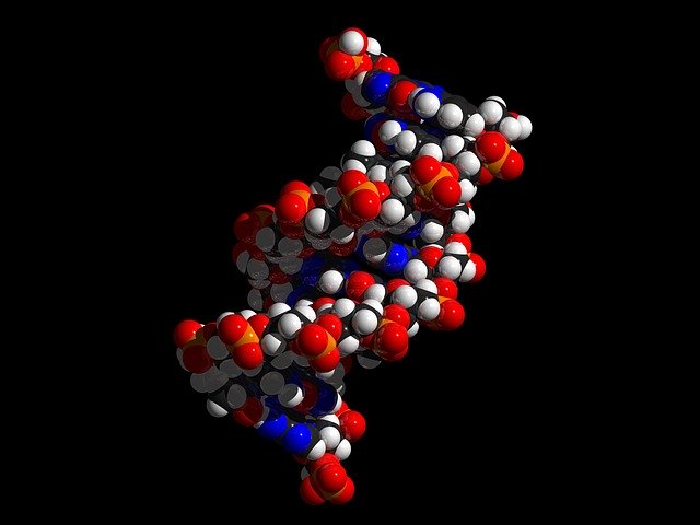 Who Discovered The Double Helix