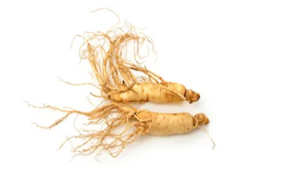ginseng for hair benefits,benefits of grape seed extract for hair,ginseng for hair,how to use ginseng for hair growth,how to make ginseng oil for hair,ginseng for hair growth,ginseng for hair and skin,ginseng shampoo for hair loss,gingseng for hair loss,ginseng oil for hair growth,height increasing exercises for men after 20,how to grow height faster in 1 week for teenagers,holistic remedies for burning stomach,lupus foundation of minnesota,grape seed extract for hair thinning,symptoms of pe