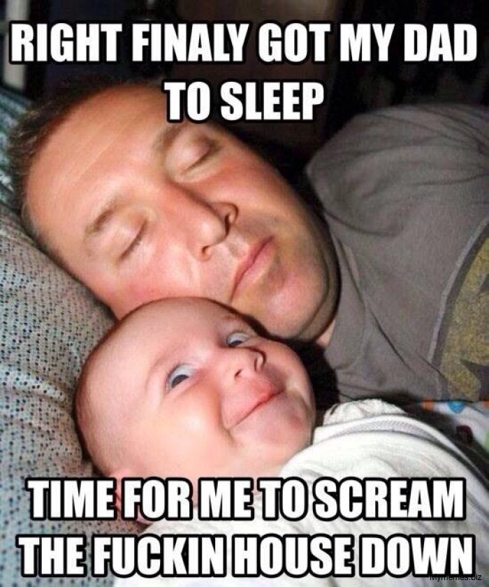7 sleeping memes to fight your insomnia Enjoying Life the Mastering