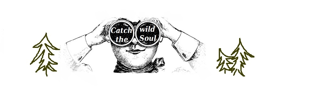 Catch the wild soul