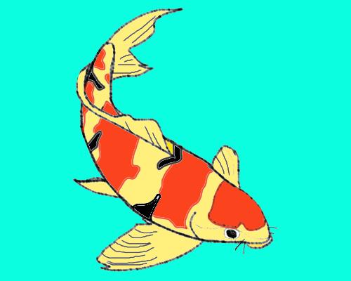 Featured image of post View 24 Easy Japanese Koi Fish Drawing