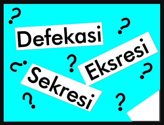 Apakah Perbedaan Eksresi Sekresi Dan Defekasi Blog Pak Pandani